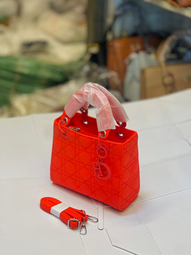 dior bag